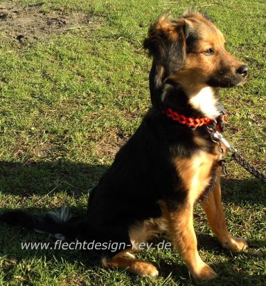 Verstellbares Halsband Paracord Halsband geflochten