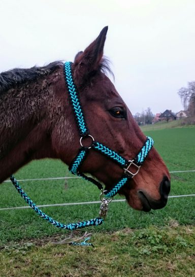 Geflochtenes Halfter Halfter Paracord
