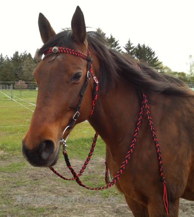 Geflochtene Westerntrense mit flachen Westerzügeln Westerntrense Paracord