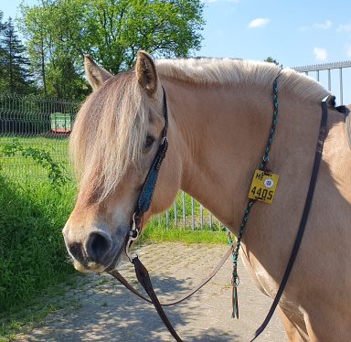 Halsring rund geflochten Halsring