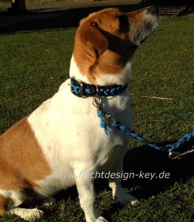Hundehalsband geflochten mit Dornscha Paracord Halsband